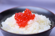 米通販・お米ギフト 米通販・お米ギフト