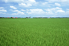 秋田市ふるさと納税 秋田市ふるさと納税